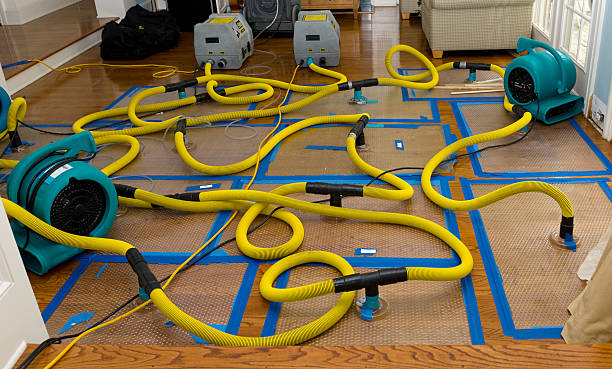Professional Burst Pipe Water Damage technician working in Alpha, NJ